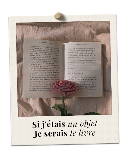 Si j'étais un objet, je serais le livre